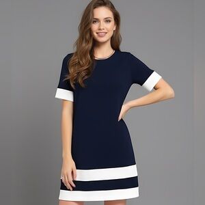 Navy Striped Shift Dress